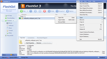 FlashGet screenshot 17
