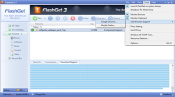 FlashGet screenshot 19