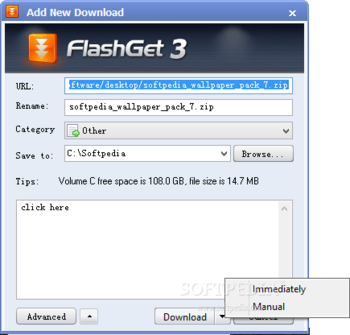 FlashGet screenshot 20