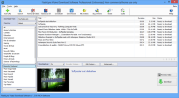FlashLynx Video Download Software Professional screenshot