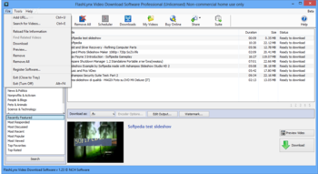 FlashLynx Video Download Software Professional screenshot 2