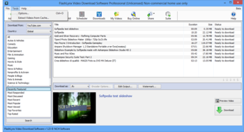 FlashLynx Video Download Software Professional screenshot 3