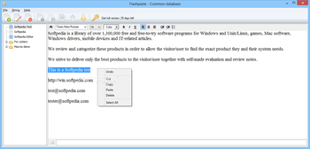 Flashpaste screenshot