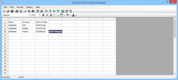 FlexCell Grid Control for .NET 4.0 screenshot