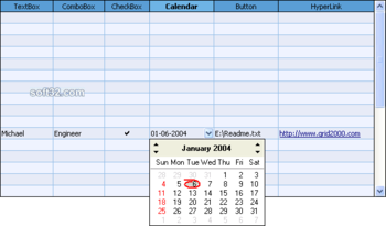 FlexCell Grid Control for .NET screenshot 3