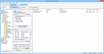 Flexible Renamer screenshot 2
