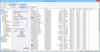 Flexible Renamer screenshot 3
