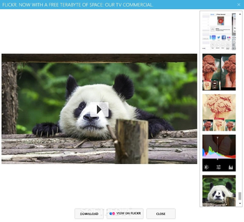 FLICKR FAST DOWNLOADER screenshot 4