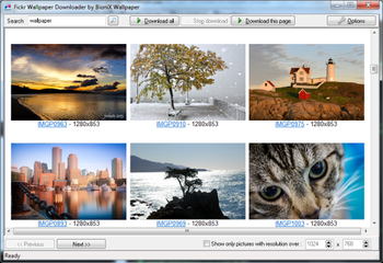 Flickr Mass Downloader screenshot