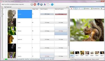 Flickr Spider screenshot