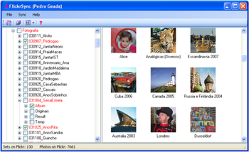 FlickrSync screenshot