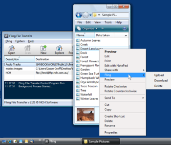 Fling File Transfer Plus screenshot