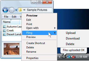 Fling FTP Software screenshot 2