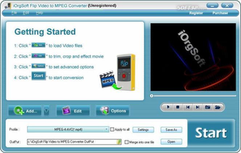 Flip Video to MPEG Converter screenshot