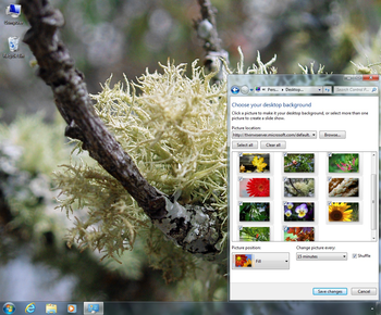 Flora Dynamic Theme screenshot