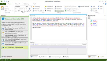 Fluent Editor screenshot