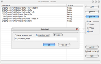 FLV Audio Video Extractor (formerly FLV Audio Extractor) screenshot
