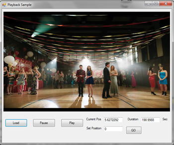 FLV Decoder Directshow Filter SDK screenshot