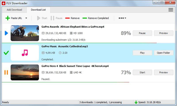 FLV Downloader screenshot