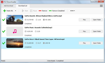 FLV Downloader screenshot 3