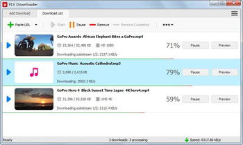 FLV Downloader screenshot 6