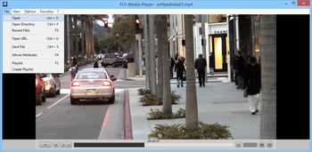 FLV-Media Player screenshot 2