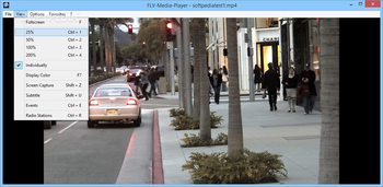 FLV-Media Player screenshot 3