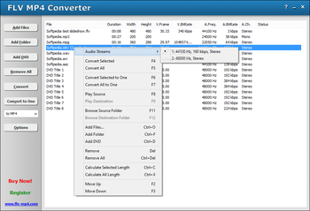 FLV MP4 Converter screenshot 2
