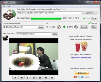 FLV Plucker screenshot