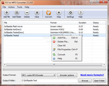 FLV to MP3 Converter screenshot