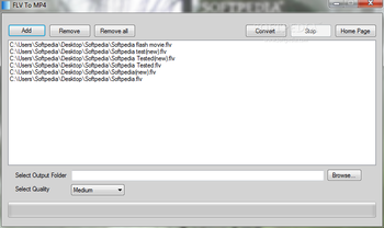 FLV To MP4 screenshot