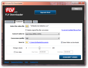 FLV.com FLV Downloader screenshot 2