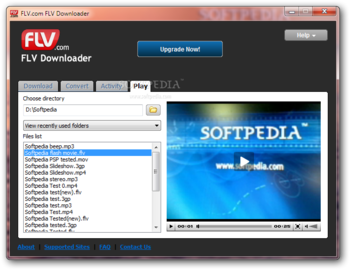 FLV.com FLV Downloader screenshot 4