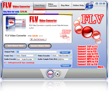 Fly FLV Video Converter screenshot 2