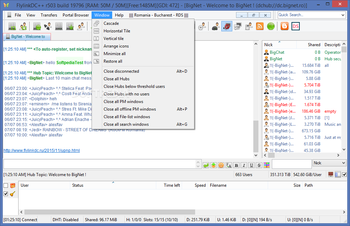 FlylinkDC++ screenshot 5