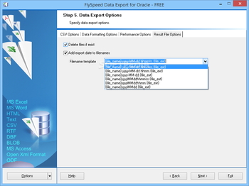 FlySpeed Data Export for Oracle screenshot 13