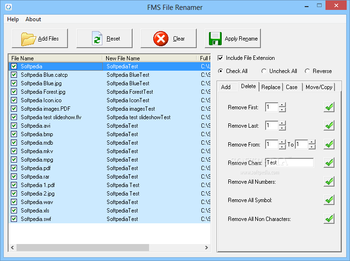 FMS File Renamer screenshot 2