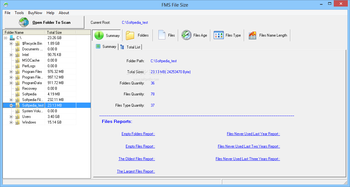 FMS File Size screenshot