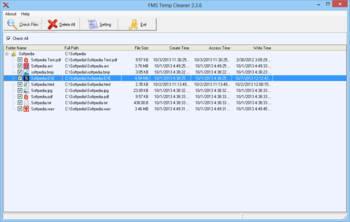 FMS Temp Cleaner screenshot