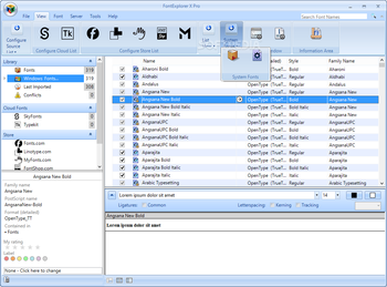 FontExplorer X Pro screenshot 2