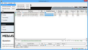 FooDownloader screenshot 2