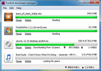 Foofind Download Manager screenshot