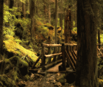 Forest Bridge Animated Wallpaper screenshot