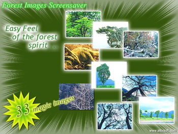 Forest Images Screensaver screenshot 3