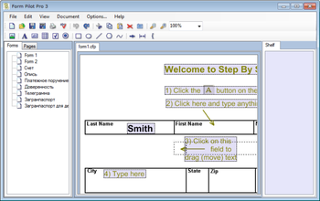 Form Pilot Pro screenshot