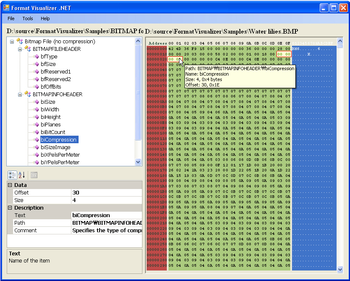 Format Visualizer .NET screenshot 3