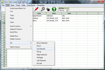 Forms Data Loader screenshot 4