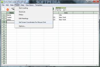 Forms Data Loader screenshot 6