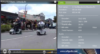 Fortop FLV Player screenshot