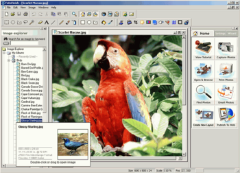 FotoFinish 3.01 screenshot
